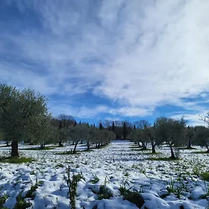 Casa Dei Trenta Appartamento San Quirico dʼOrcia